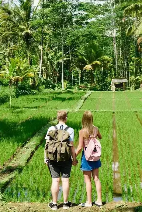 Travel