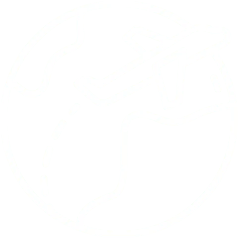 About Icon