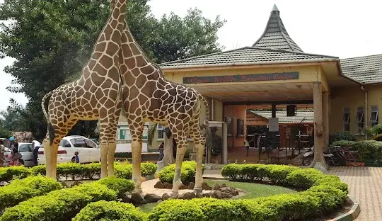 Flights to Entebbe