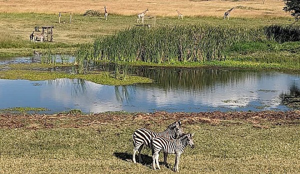 Cheap Flight London to Harare