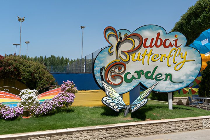 Activity