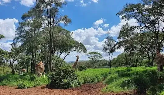 Nairobi