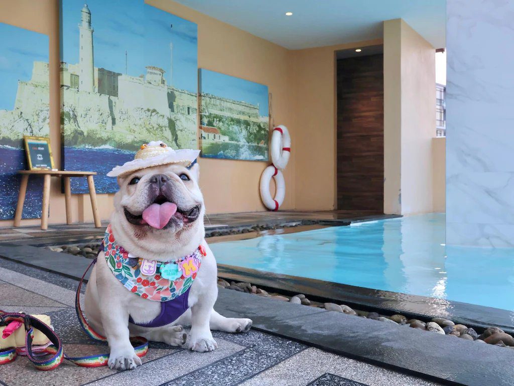 The Quba Boutique Pattaya Holiday Package image 2