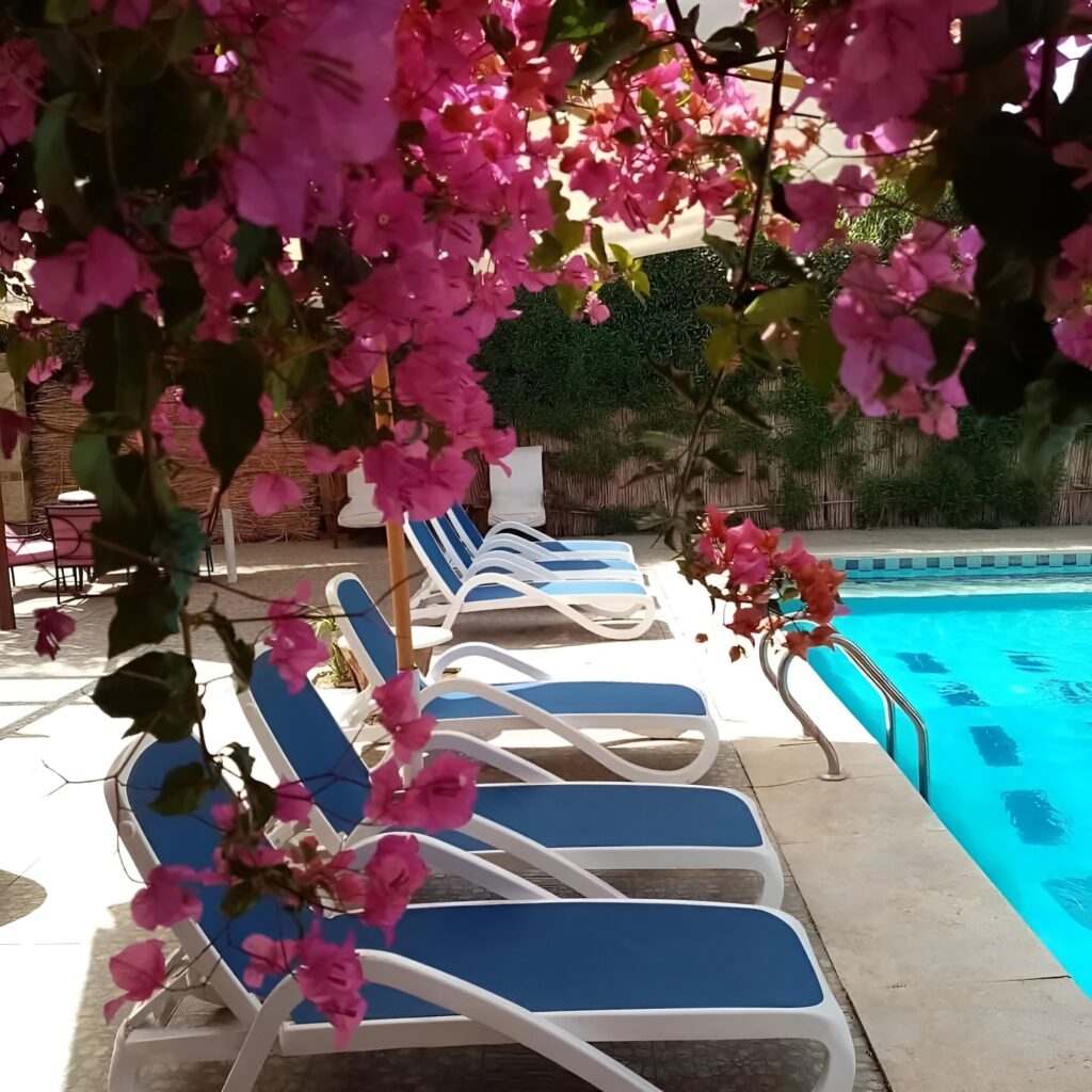 Nile Compound Luxor Holiday Package image 1