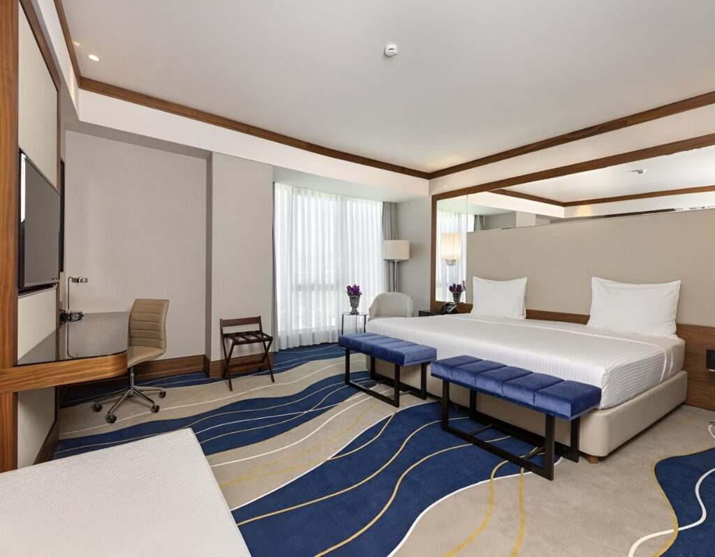 Elite World Asia Istanbul Holiday Package image 2