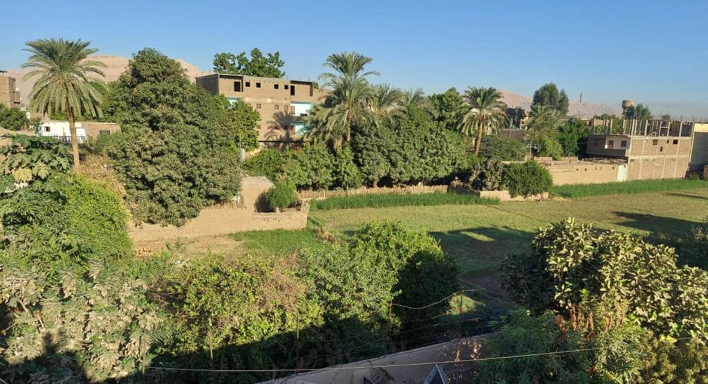Enjoy Luxor 3 Star Holiday Package image 5