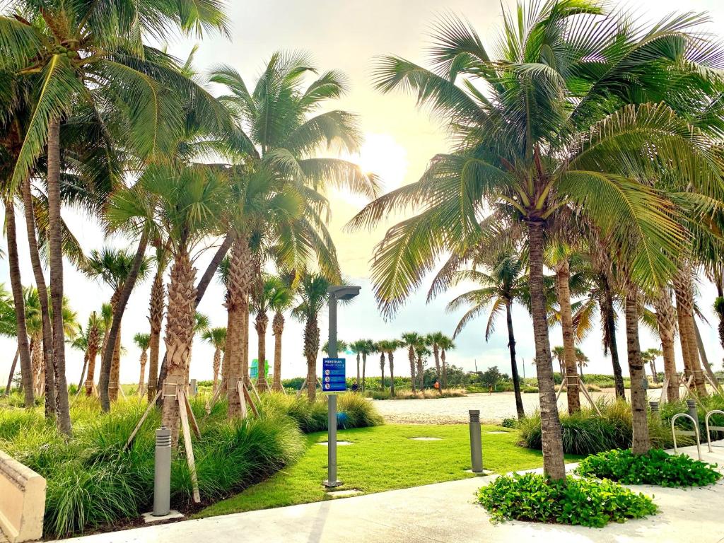 Florida Broadmoor Miami Beach Holiday Tour image 2