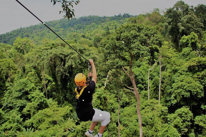 Flight of the Gibbon