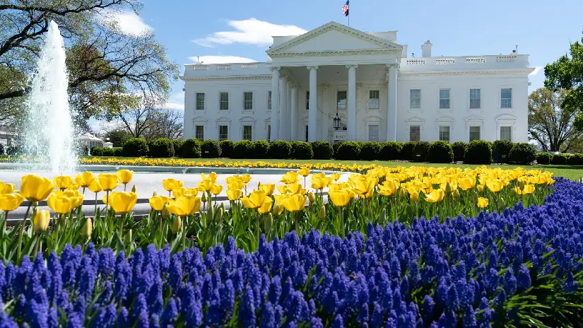 White House Tour