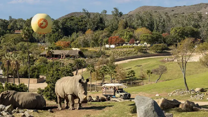 San Diego Zoo Tour