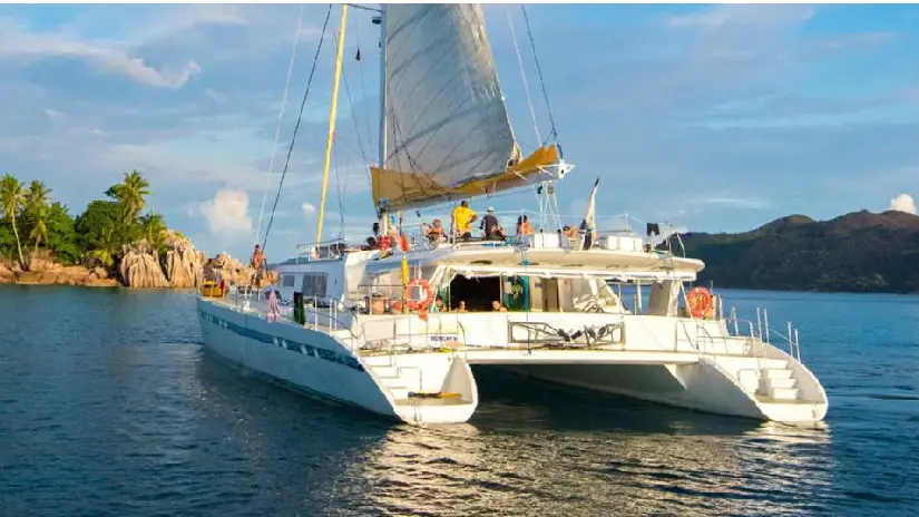 Catamaran Island Cruise