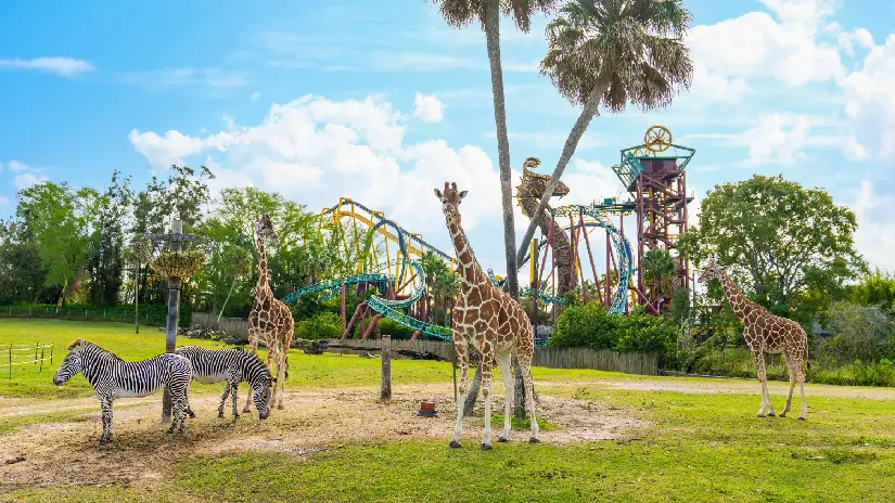 Busch Gardens Tampa Bay