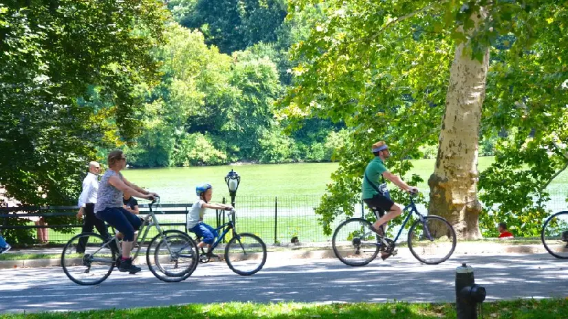 Central Park Bike Tour