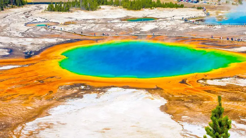 Yellowstone National Park Tour