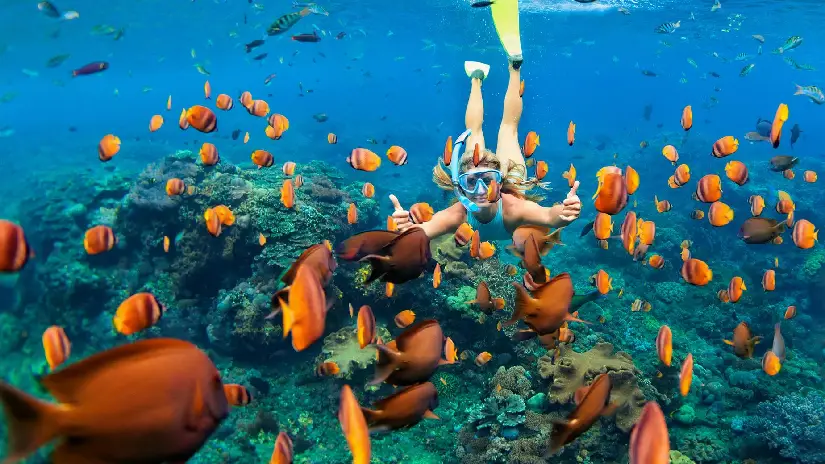 Ras Mohammed National Park Snorkeling