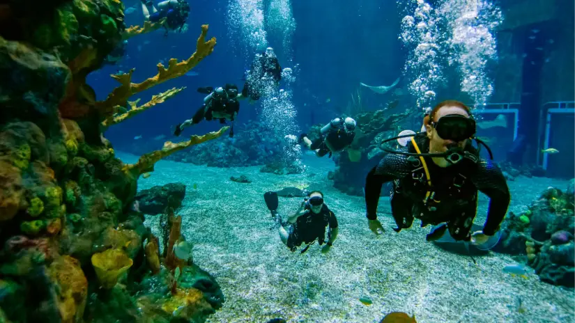 Scuba Diving Adventure