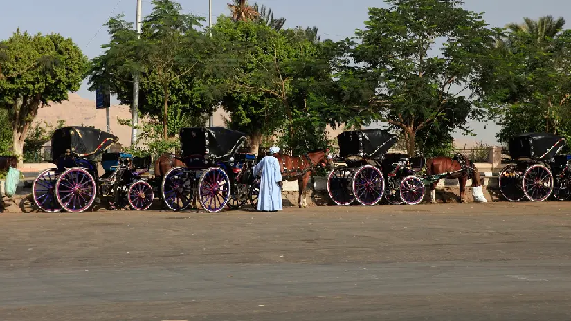 Luxor Horse Carriage Ride