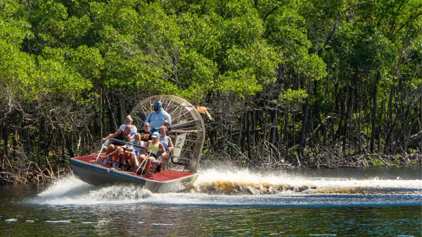 Everglades Airboat Adventure