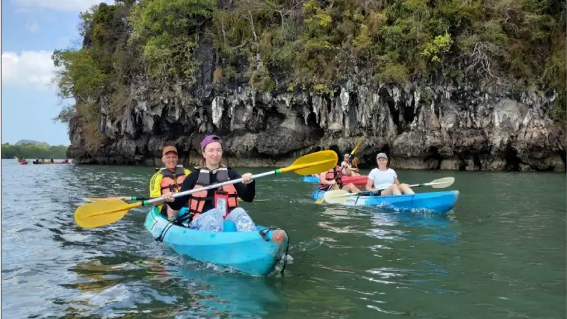 Mangrove Kayaking Adventure