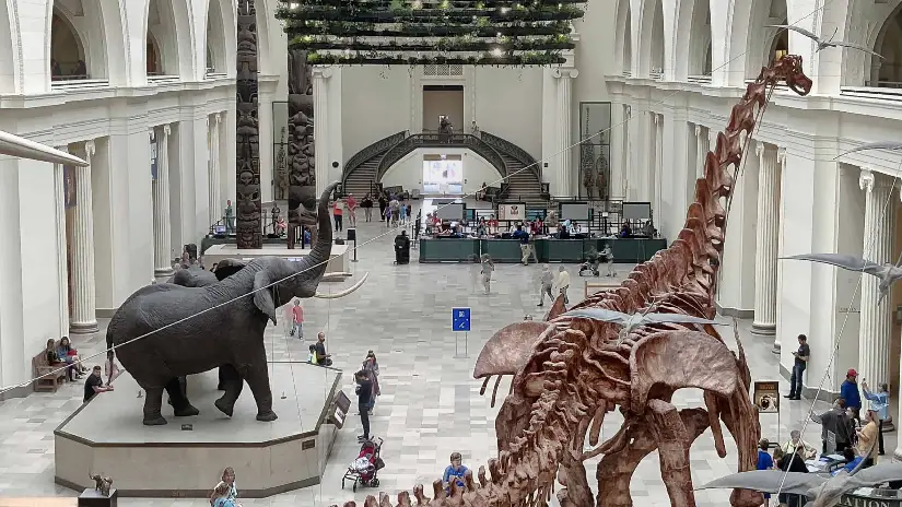 Field Museum Tour