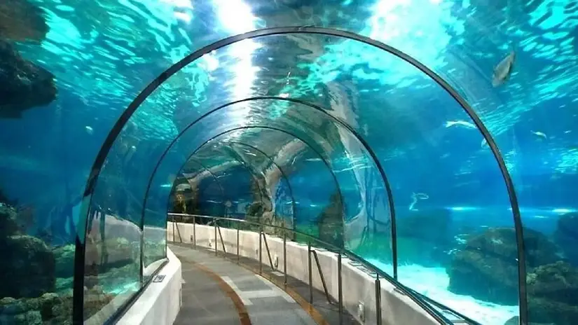Hurghada Grand Aquarium