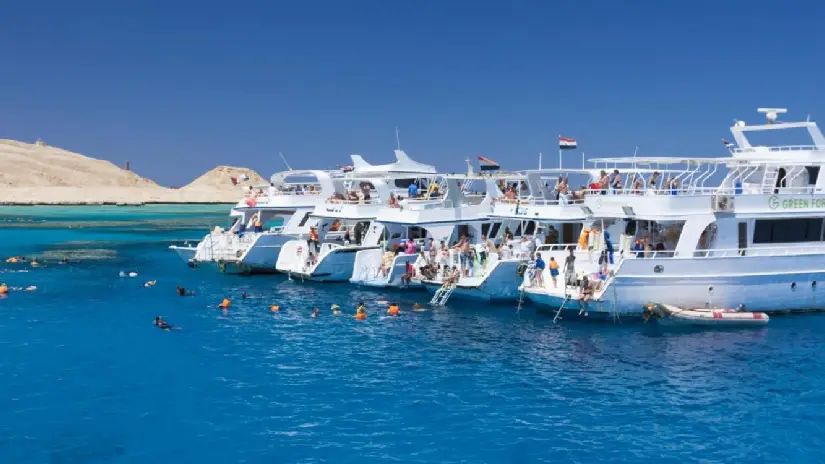 White Island Boat Trip