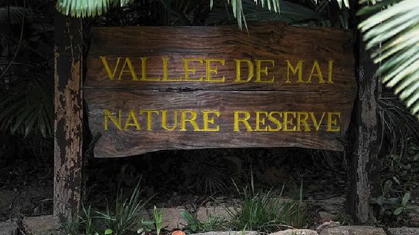 Vallée de Mai Nature Reserve