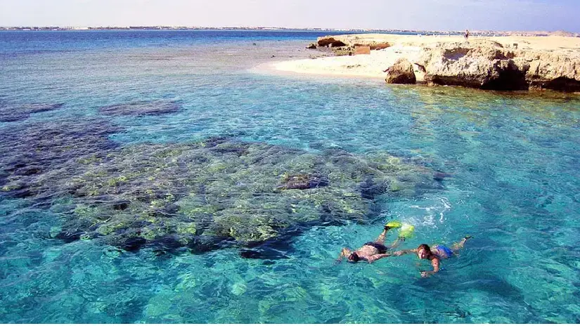 Giftun Island Snorkeling Tour