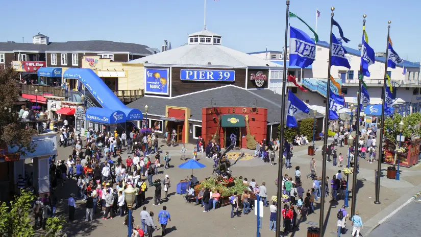 Fisherman's Wharf & Pier 39 Tour