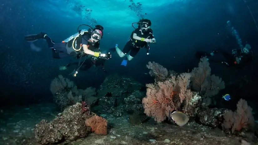 Scuba Diving Adventure