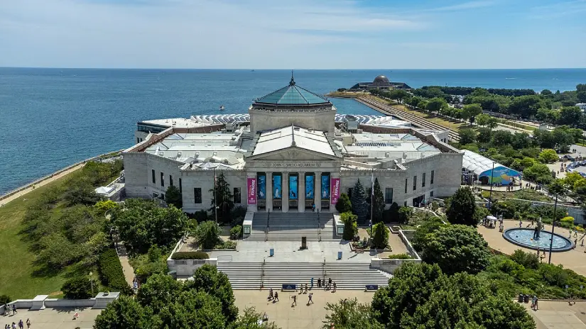 Shedd Aquarium Tour