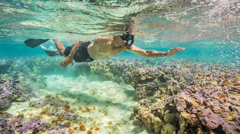 Blue Bay Marine Park Snorkeling