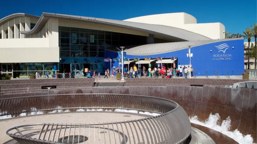 Aquarium of the Pacific Tour