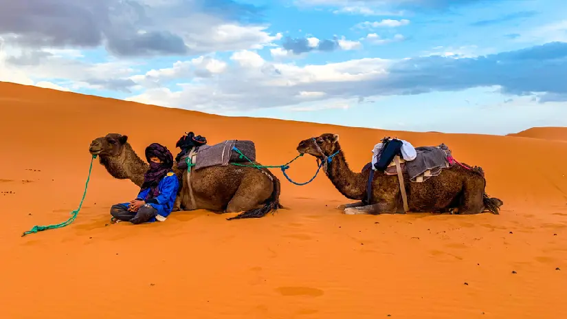 Desert Safari in Morocco