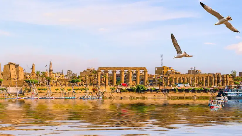Luxor City Tour