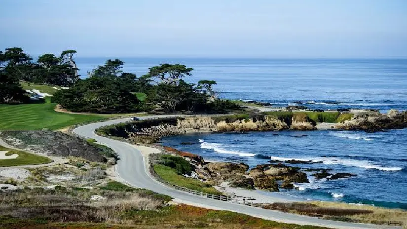 Monterey & 17-Mile Drive Tour