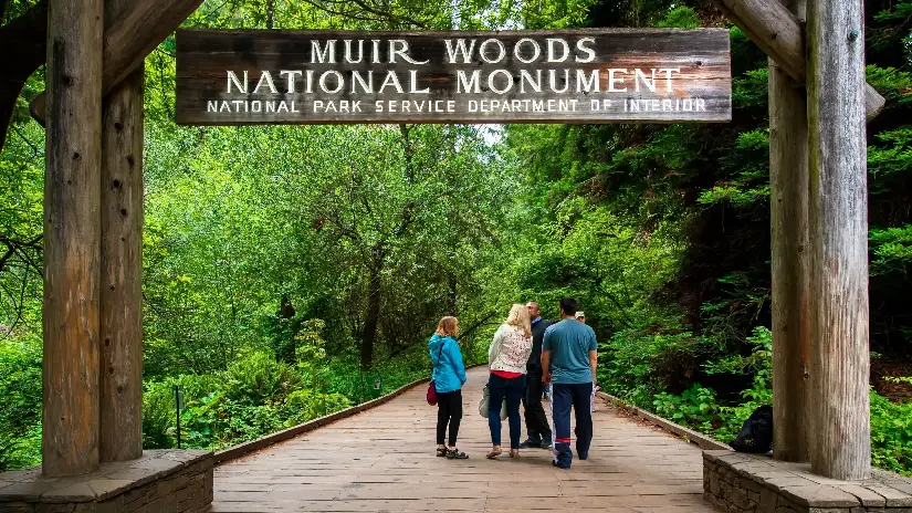 Muir Woods & Sausalito Tour