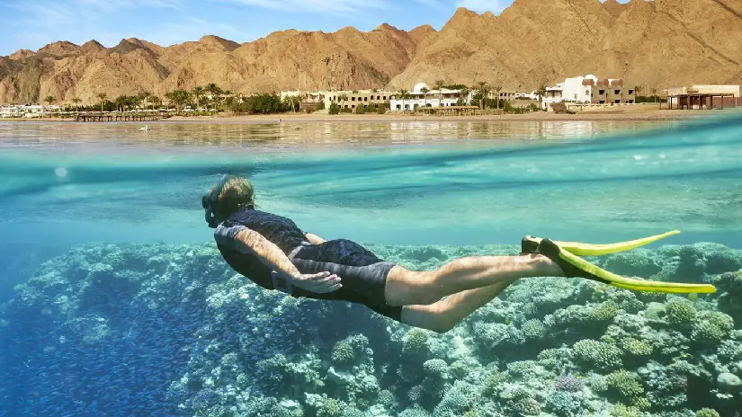 Red Sea Snorkeling Adventure