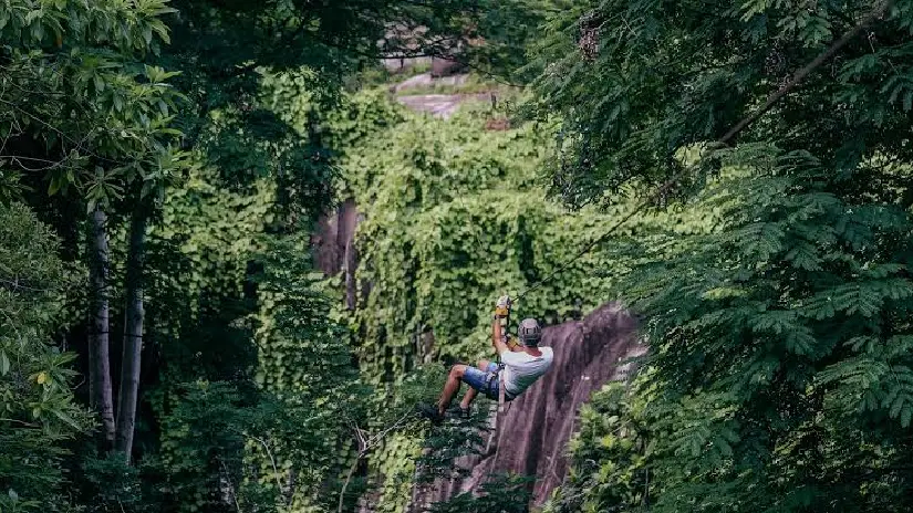 Zipline Adventure