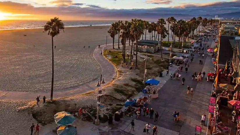 Santa Monica & Venice Beach Tour