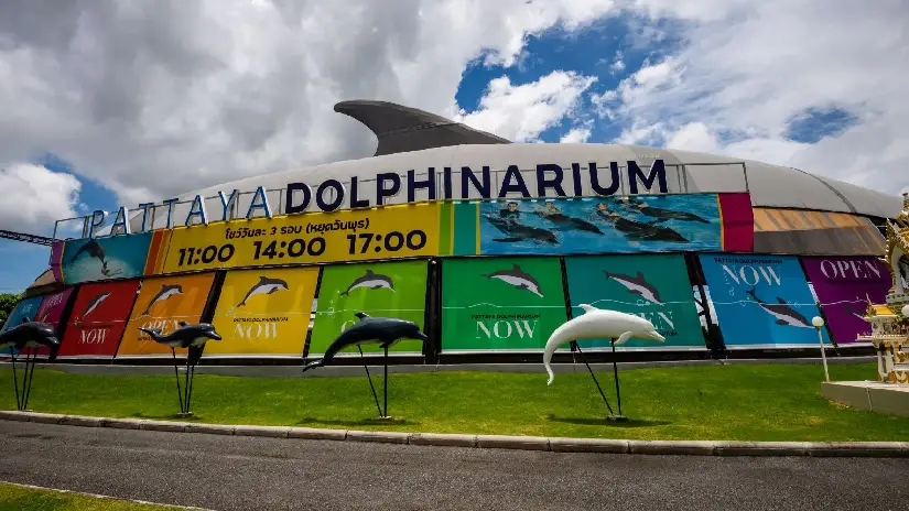 Dolphinarium Pattaya