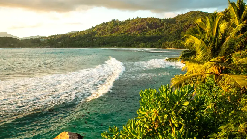 Mahé Island Tour