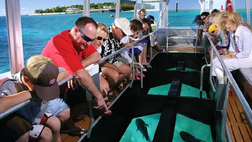 Glass Bottom Boat Tour