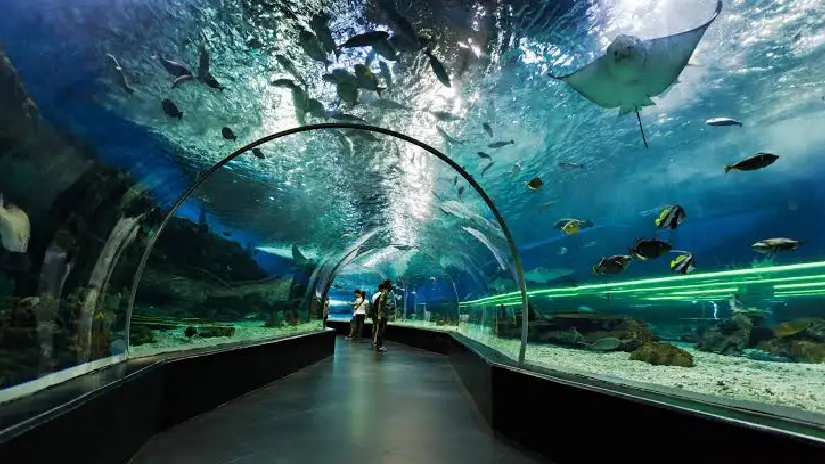 Underwater World Pattaya