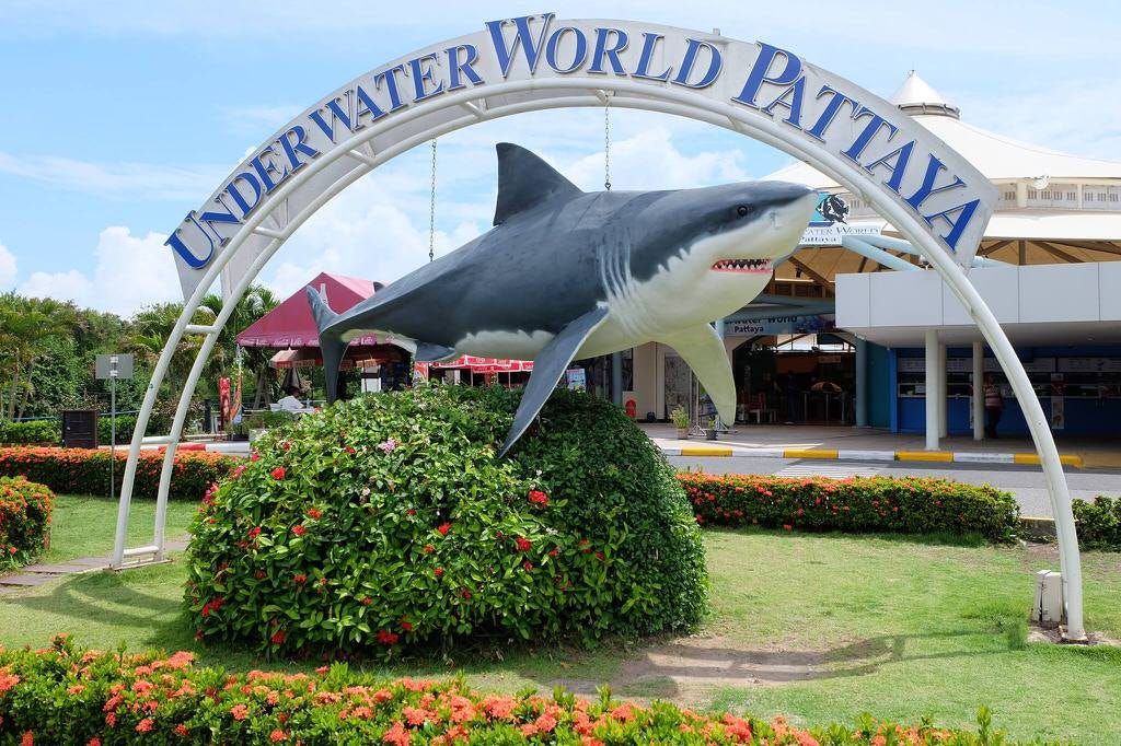 Underwater World at Pattaya