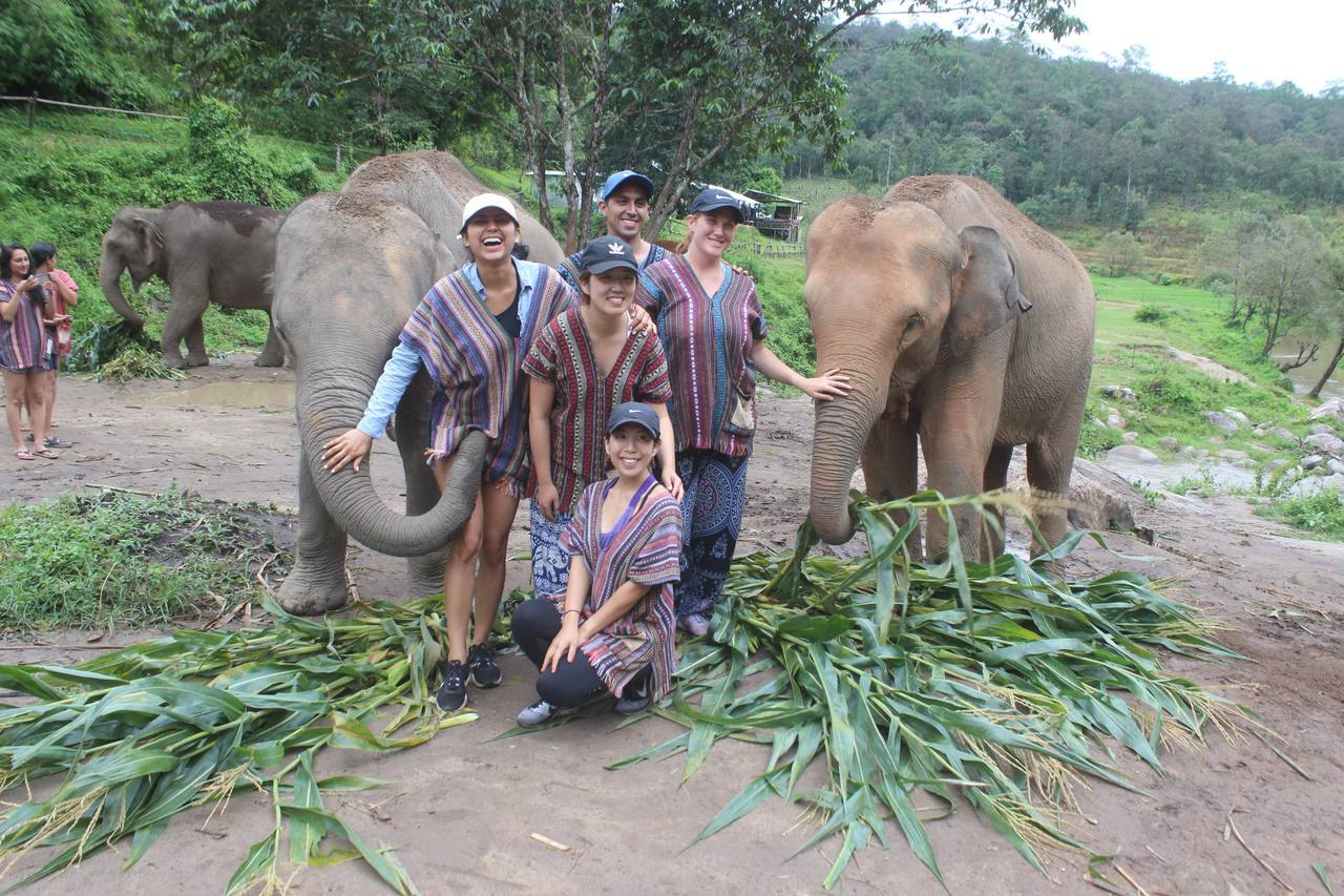 Elephant Jungle Sanctuary