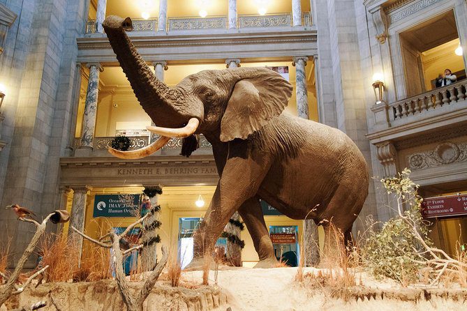 Smithsonian Museum of Natural History