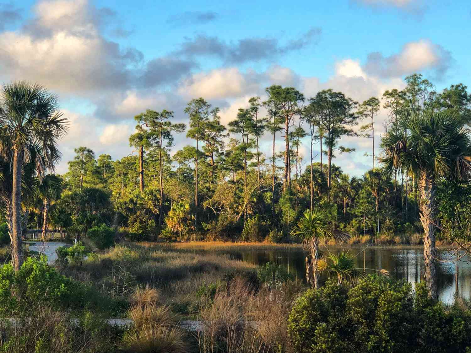 Florida Everglades Airboat Adventure