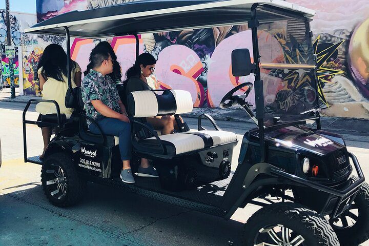 Wynwood Graffiti Golf Cart Small-Group Tour