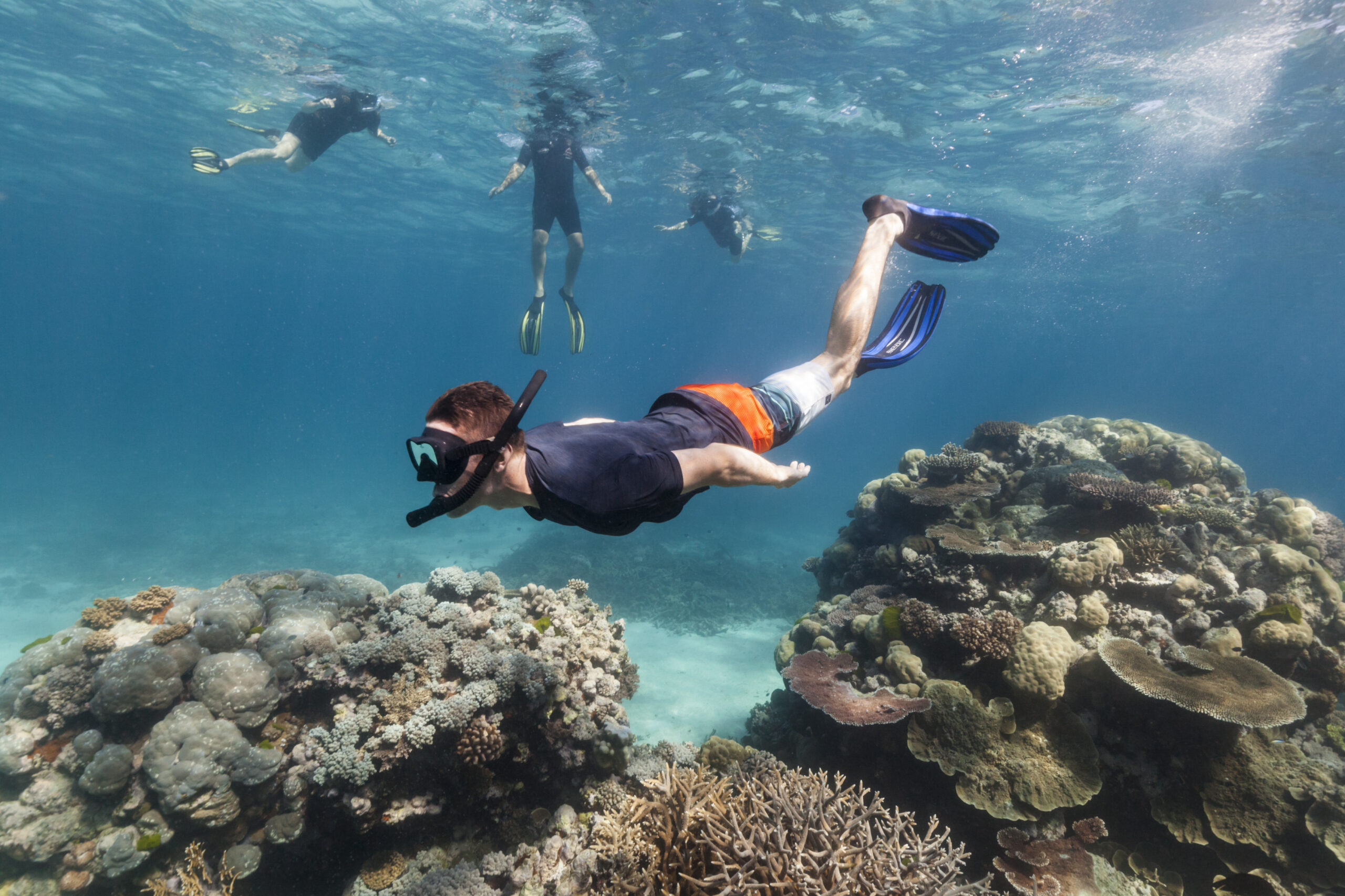 Snorkeling-and-Scuba-Diving